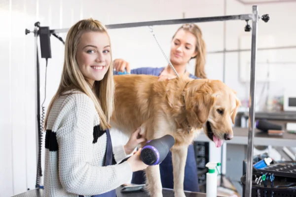 Peluquería para perros